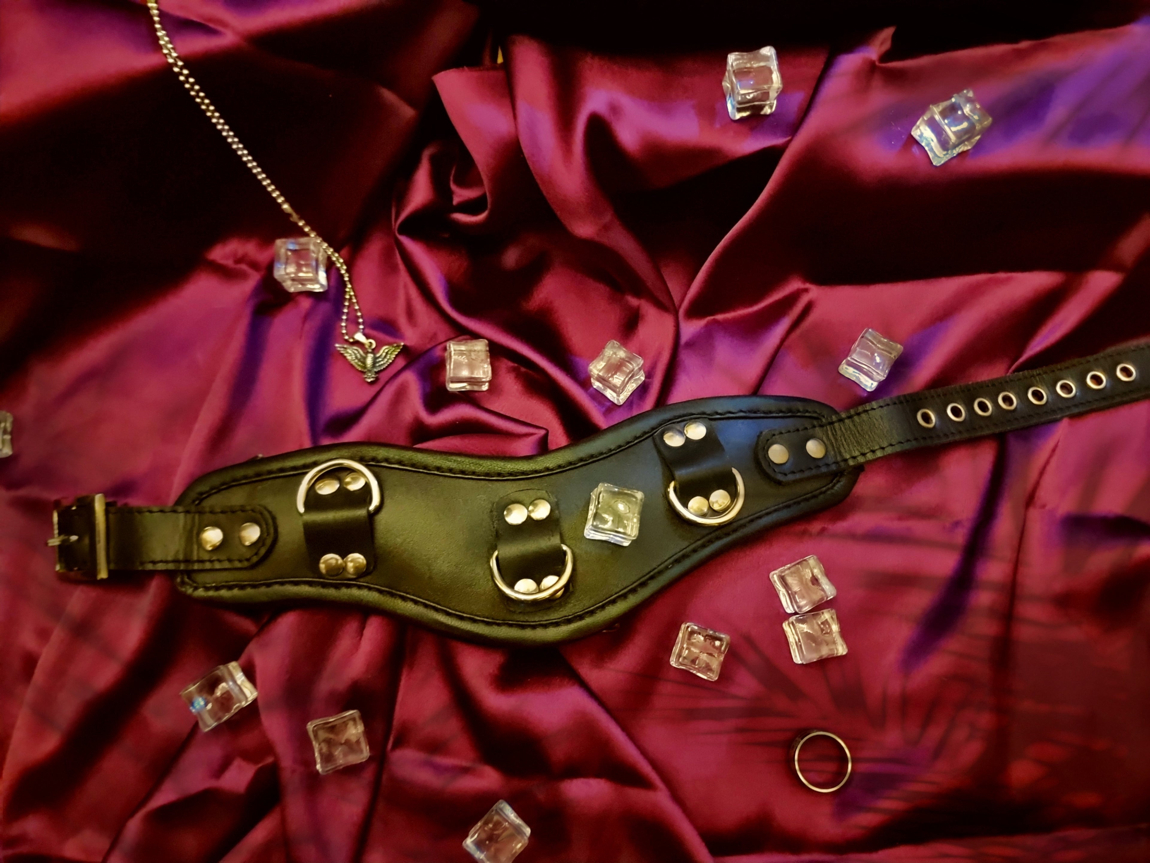 Posture collar with 3 D-rings