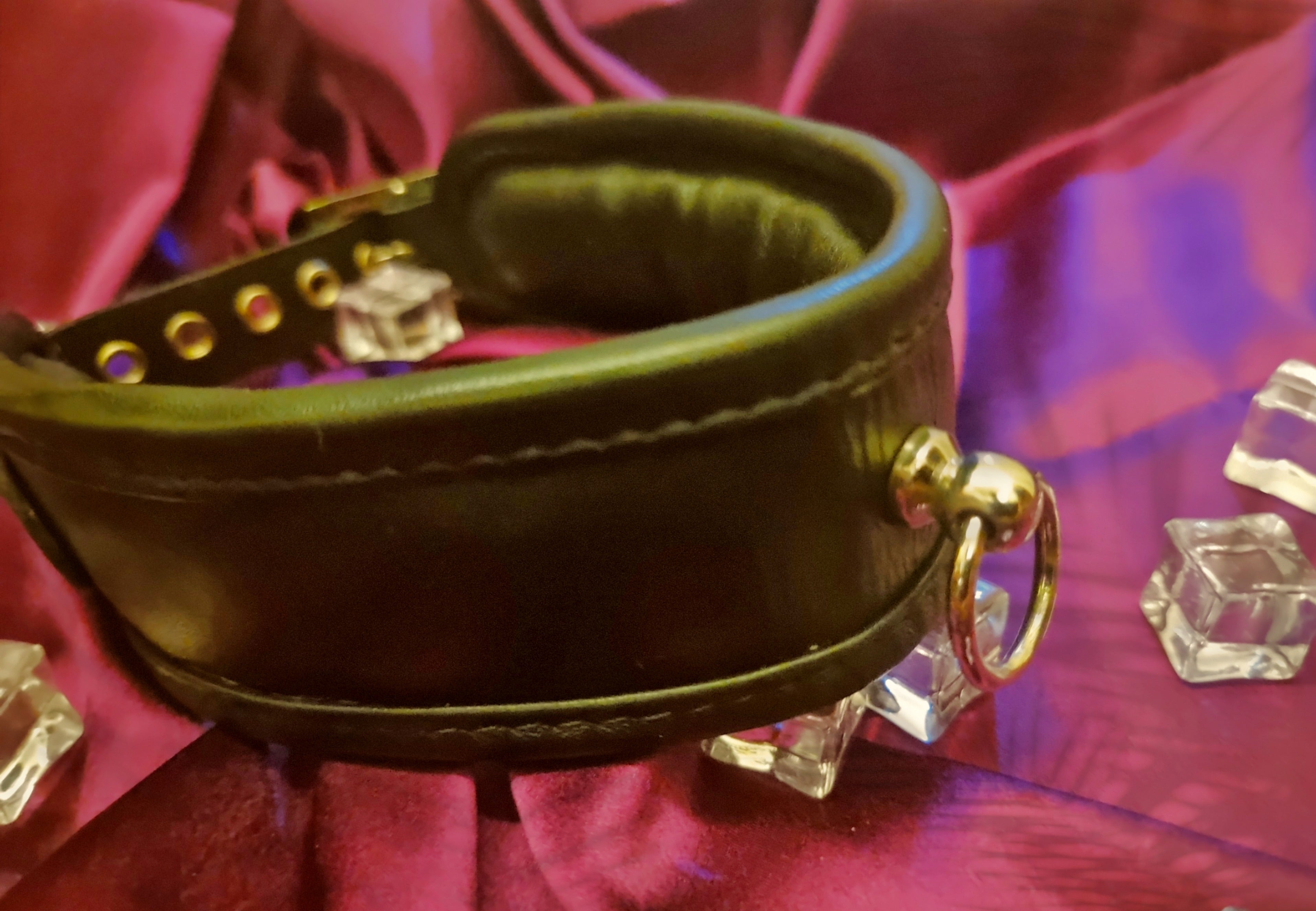 Padded Collar with &