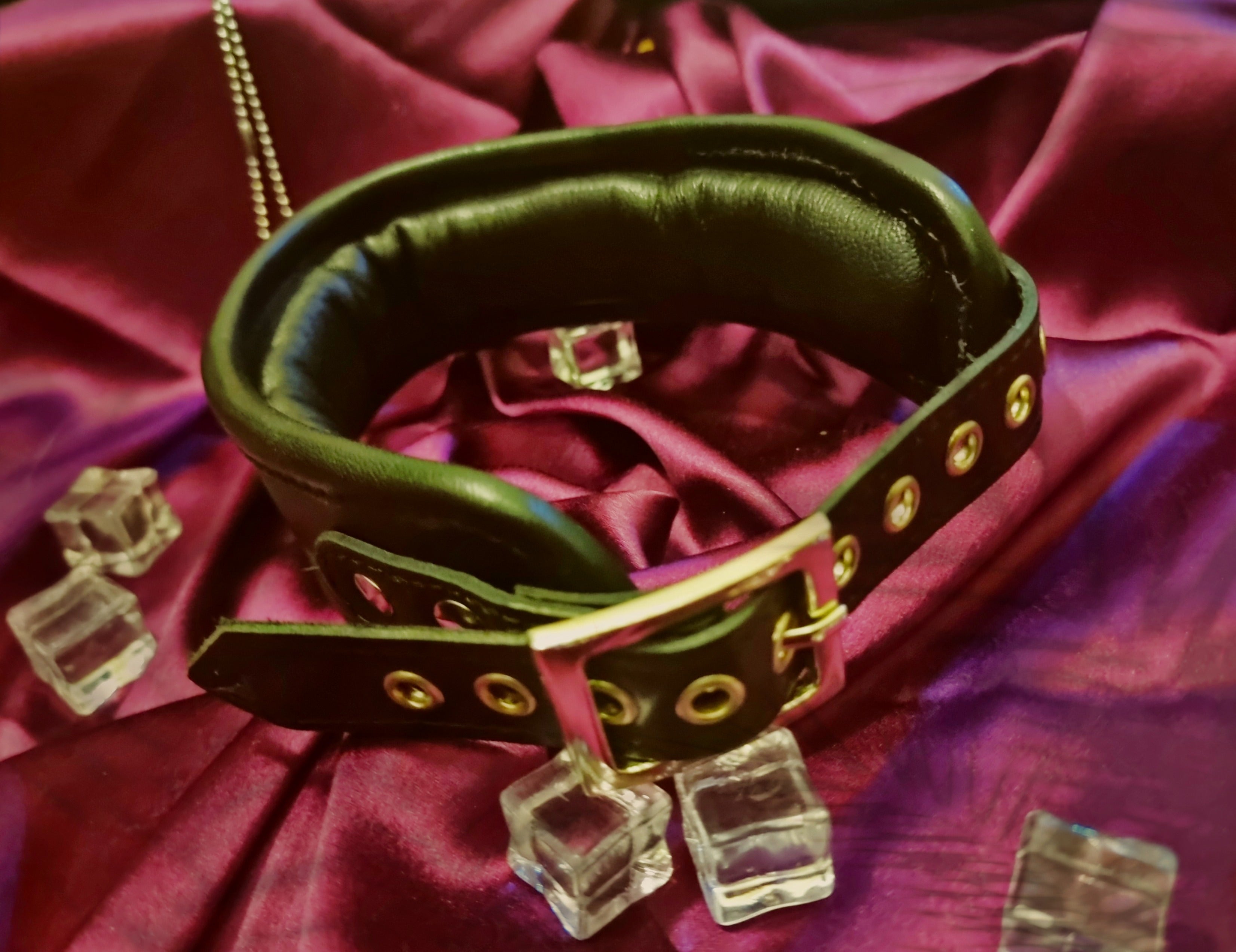 Padded Collar with &