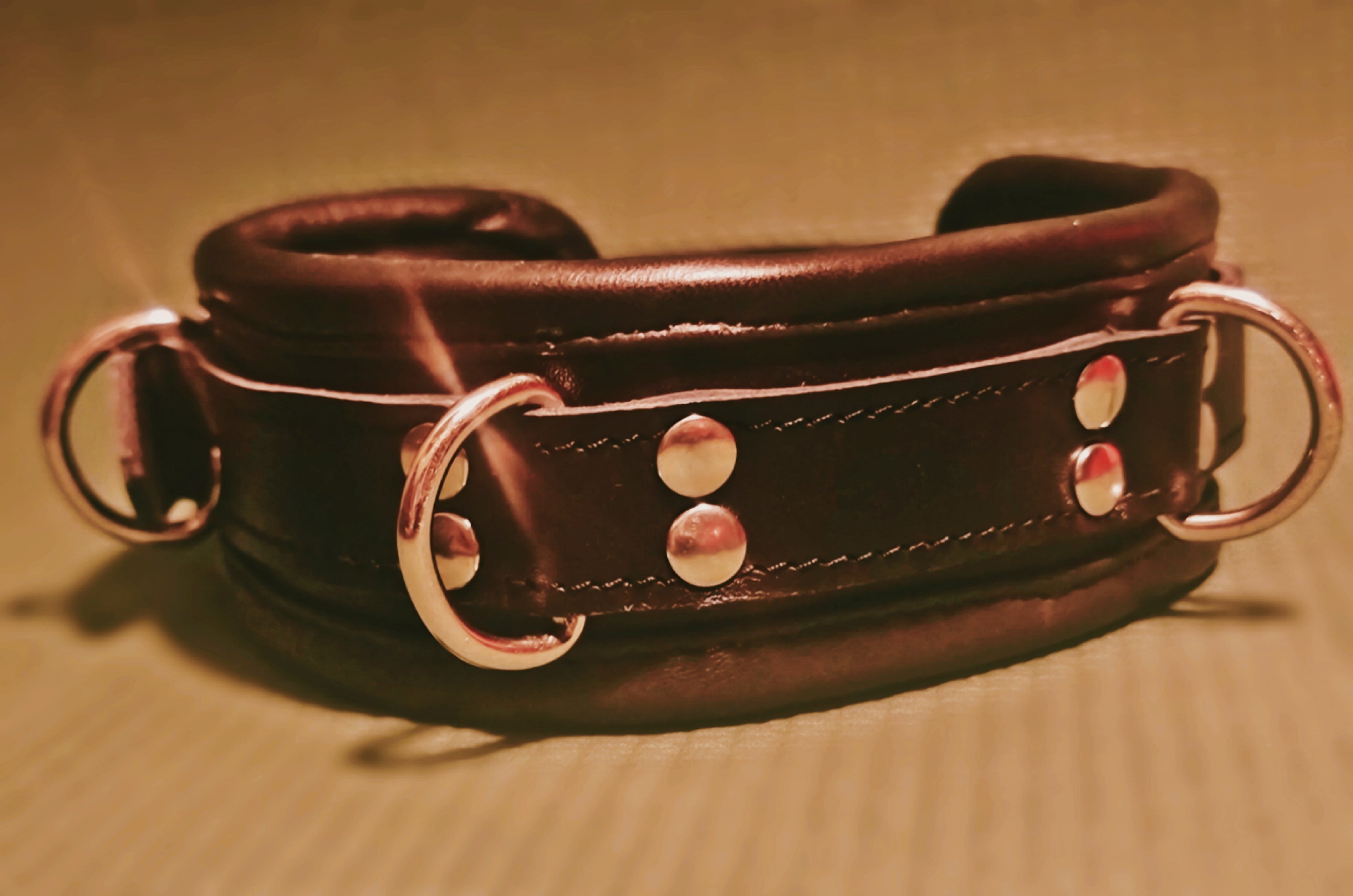 Padded collar with 3 &