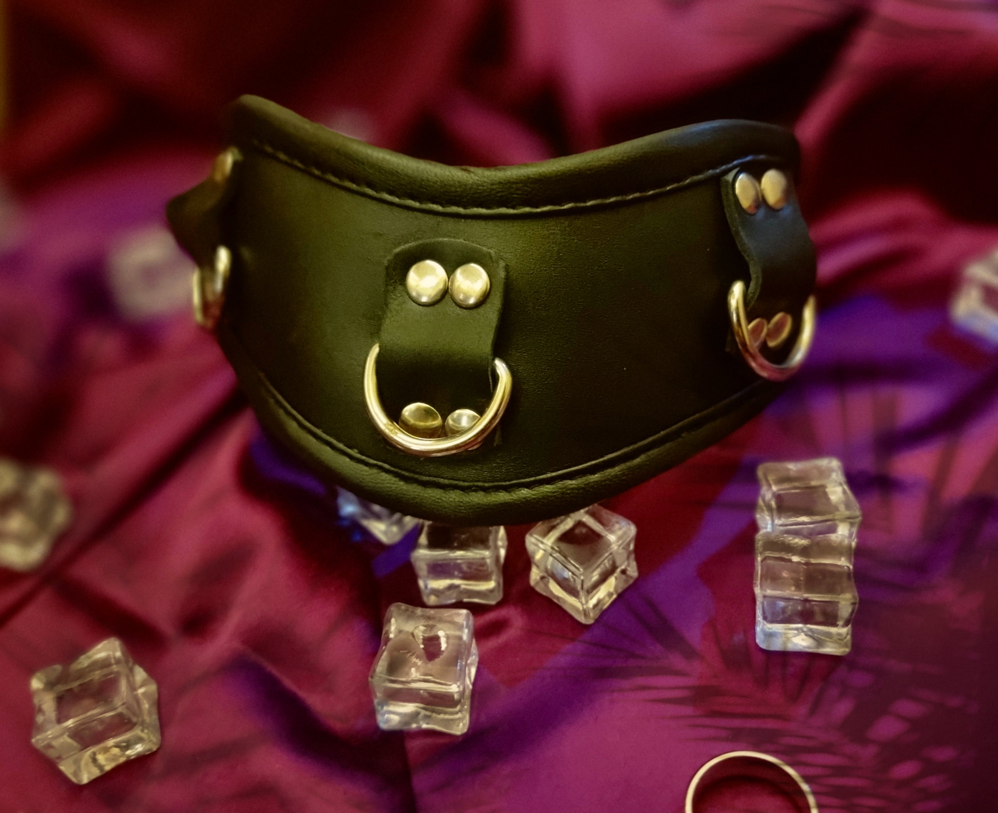 Posture collar with 3 D-rings