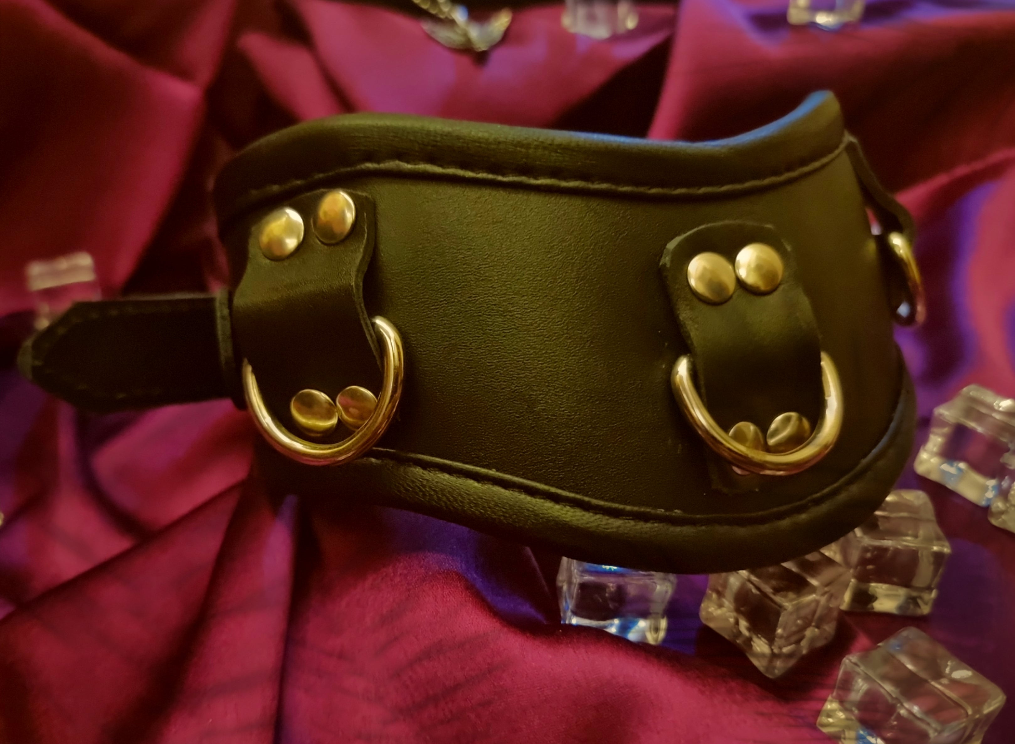 Posture collar with 3 D-rings
