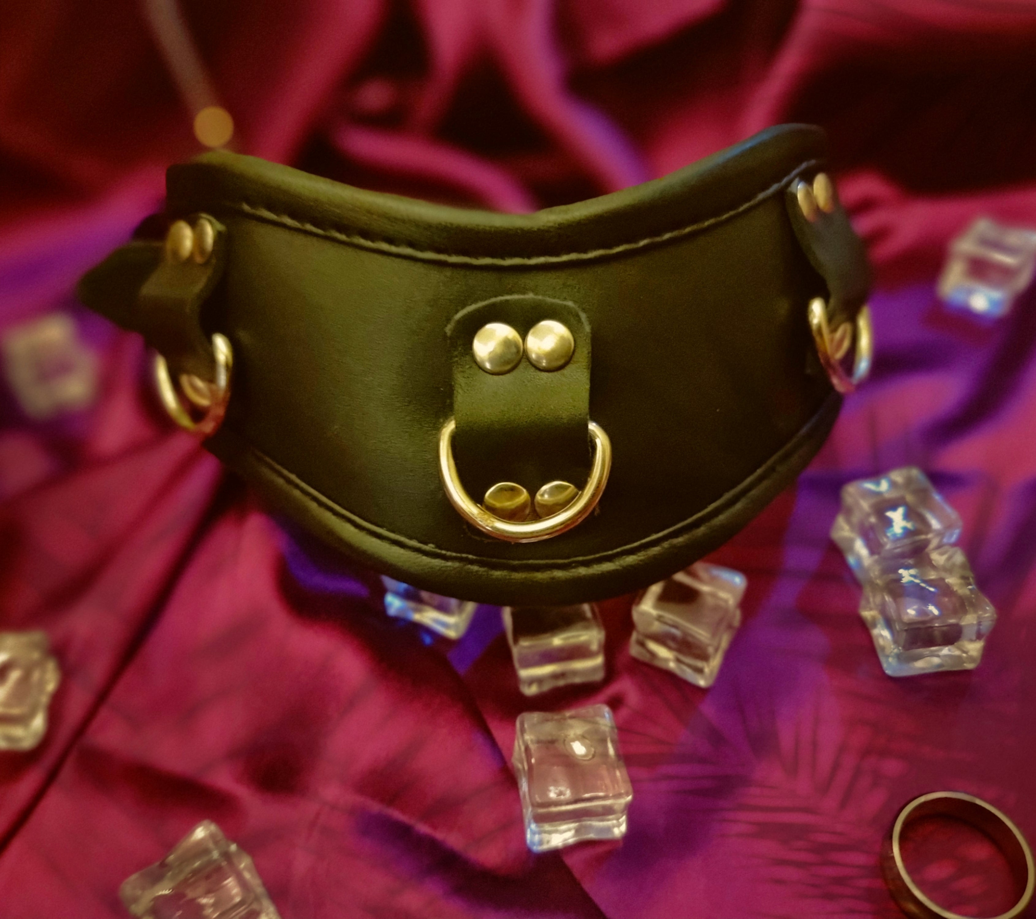 Posture collar with 3 D-rings