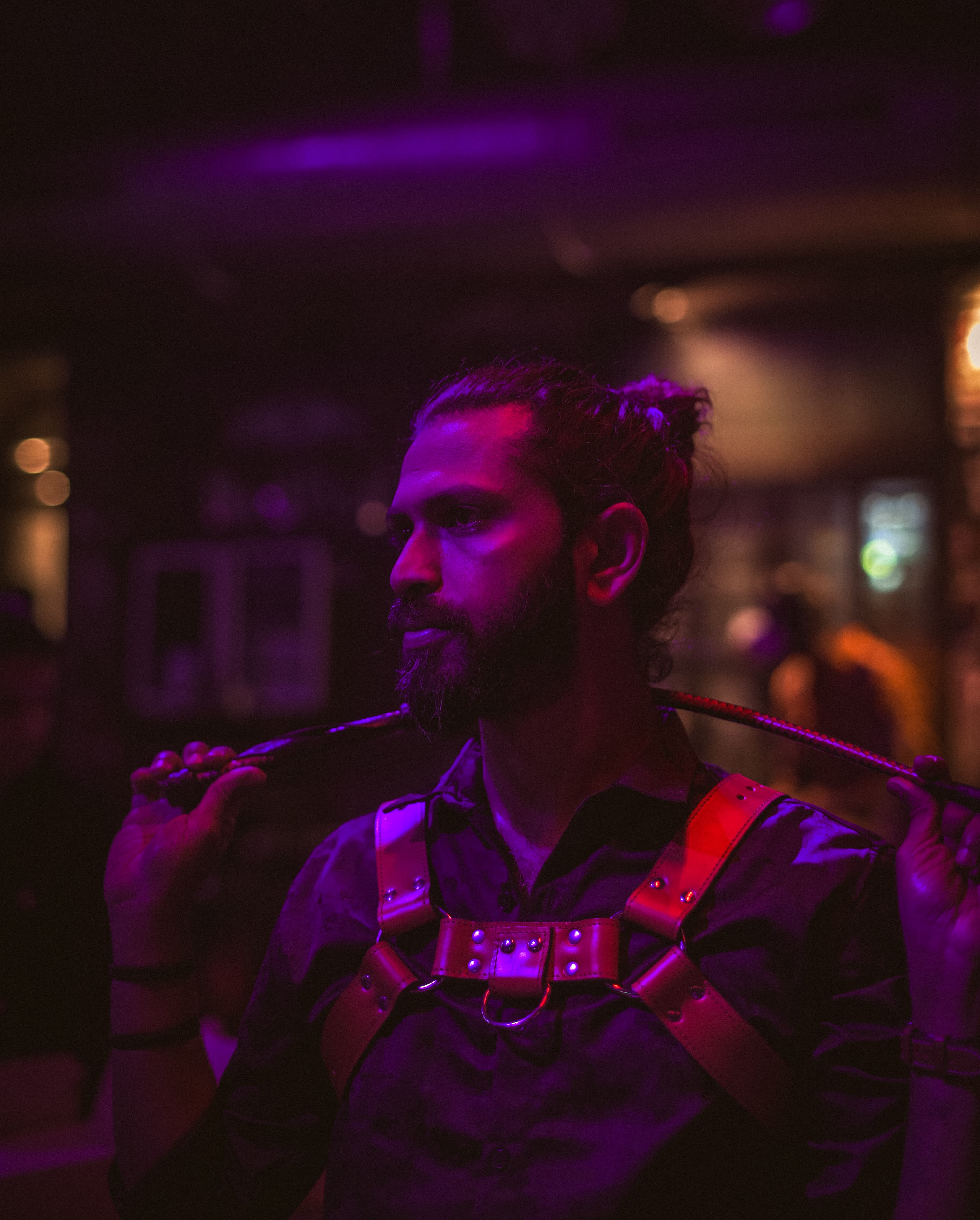 Tassma Bull Dog Harness