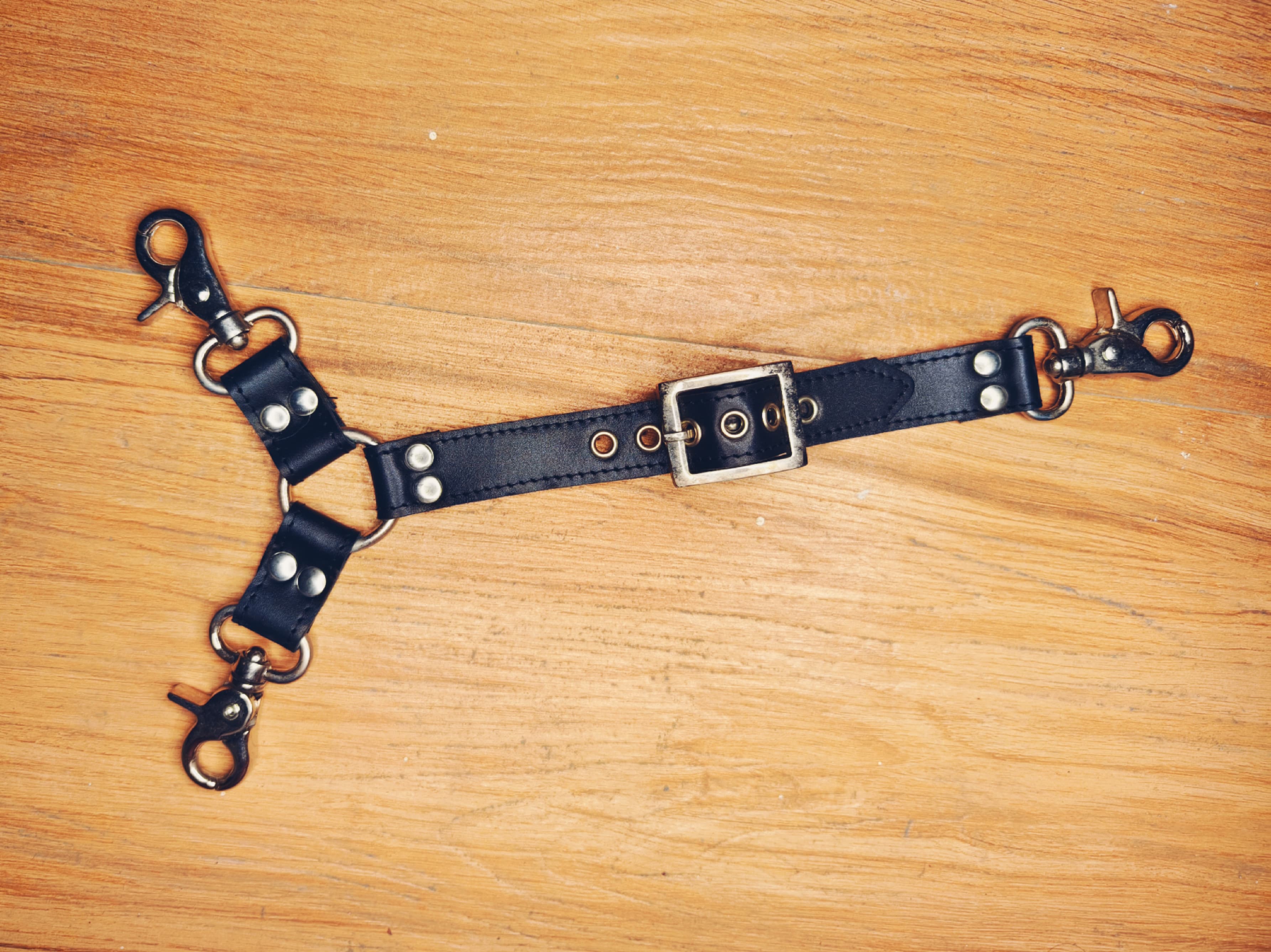 Adjustable Triple Fixation Strap