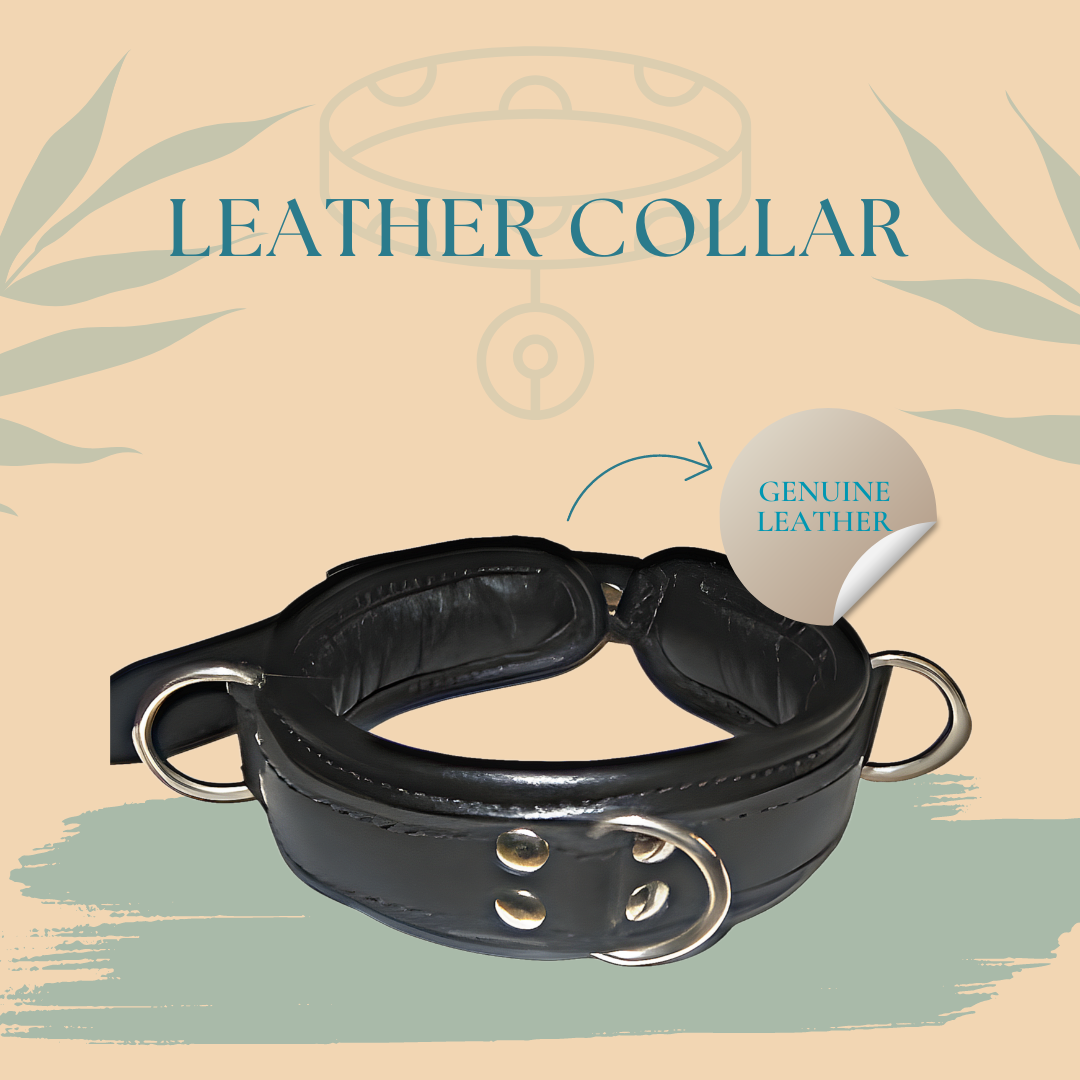 Padded collar with 3 &