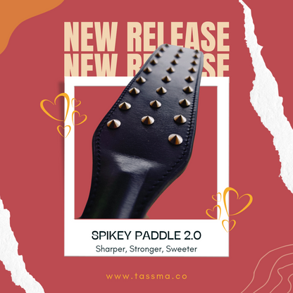 Spikey Paddle 2.0